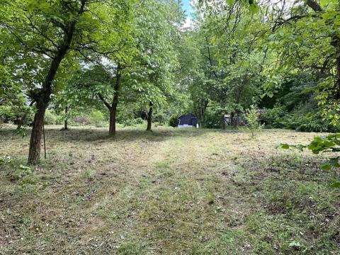 Pronájem sadu/vinice, Praha - Točná, Ke starému hřišti, 3842 m2