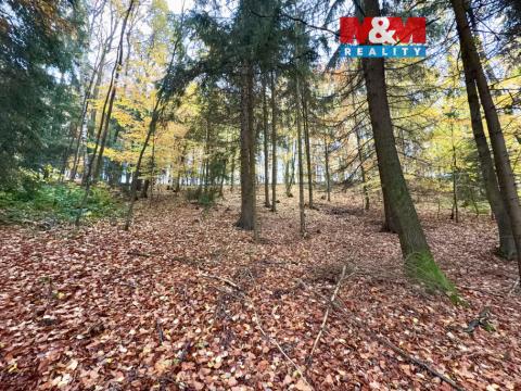 Prodej lesa, Jestřebí, 6855 m2