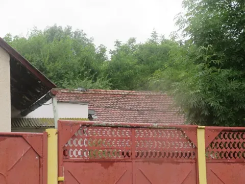 Dražba zahrady, Schořov, 601 m2