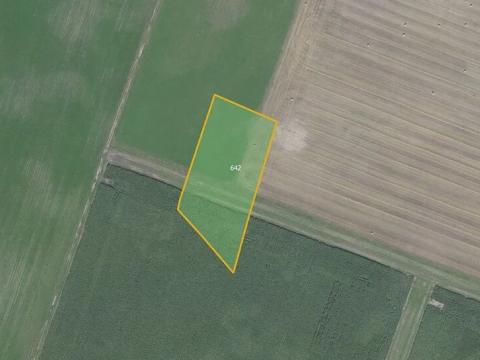 Prodej pole, Jestřabí Lhota, 7028 m2