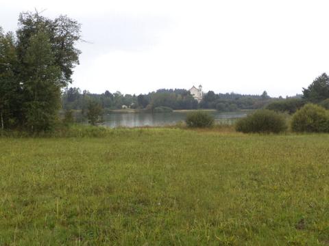 Prodej pozemku, Nová Bystřice, 2593 m2