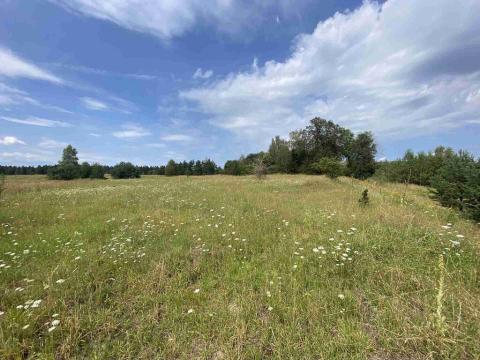 Prodej pozemku, Rapšach - Nová Ves u Klikova, 6986 m2