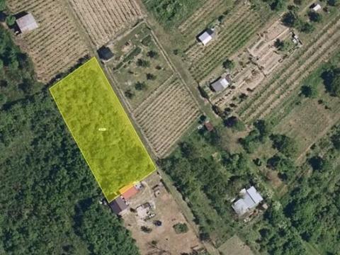 Pronájem sadu/vinice, Hustopeče, 1025 m2