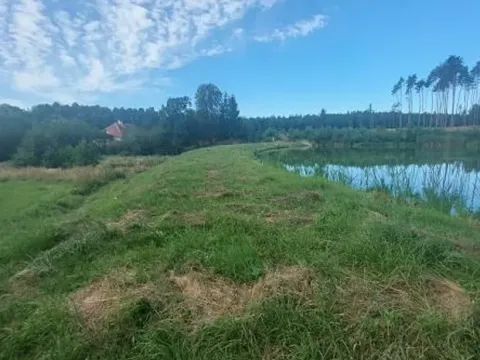 Pronájem rybníku, Komárovice, 9025 m2