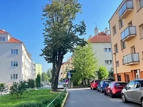 Pronájem bytu 1+kk, Praha - Michle, Na nivách, 28 m2