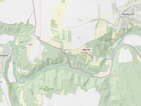 Dražba lesa, Ivančice, 477 m2