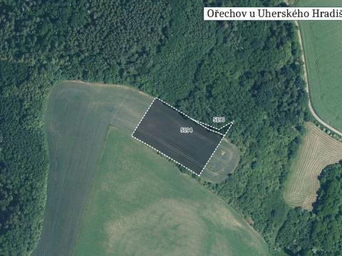 Prodej pole, Ořechov, 12328 m2