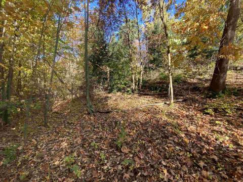 Prodej pole, Železný Brod, 12622 m2