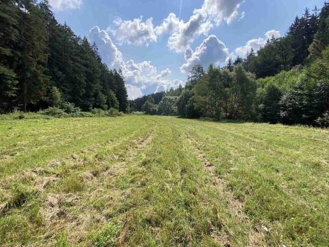 Prodej pole, Kaplice - Blansko, 843 m2