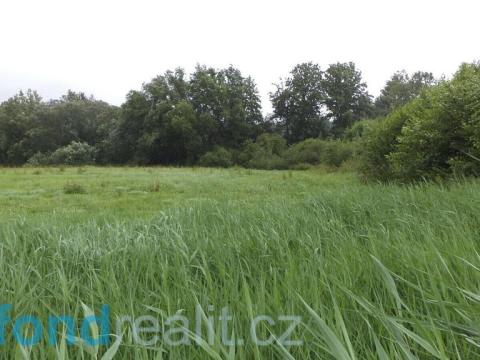 Prodej pozemku, Golčův Jeníkov, 996 m2