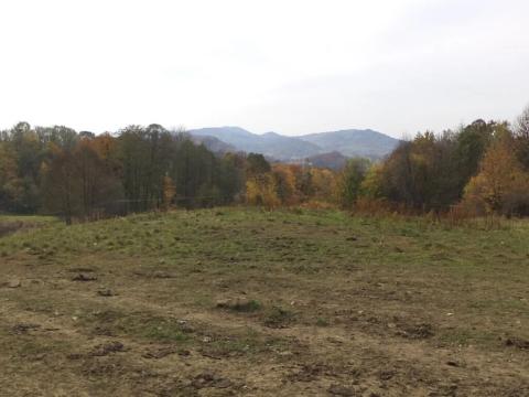 Dražba louky, Nový Jičín, 6670 m2