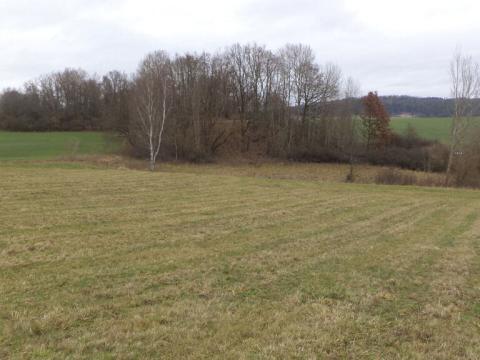 Prodej pole, Srby, 19946 m2