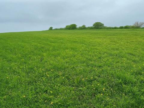 Prodej pole, Louka, 5762 m2