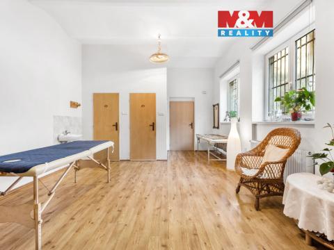 Prodej obchodního prostoru, Ústí nad Labem - Ústí nad Labem-centrum, Masarykova, 48 m2