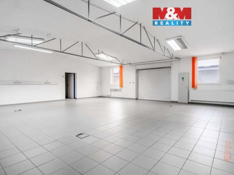 Pronájem kanceláře, Teplice, Dubská, 460 m2