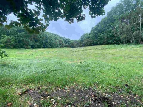 Prodej pole, Úterý - Vidžín, 11289 m2