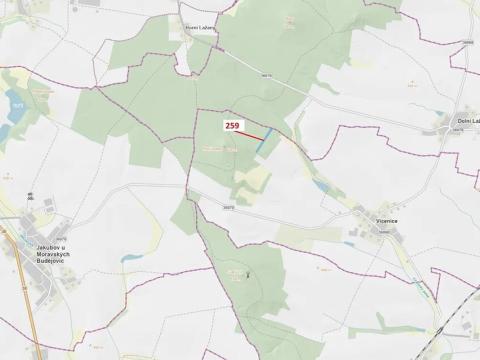 Dražba lesa, Vícenice, 6645 m2