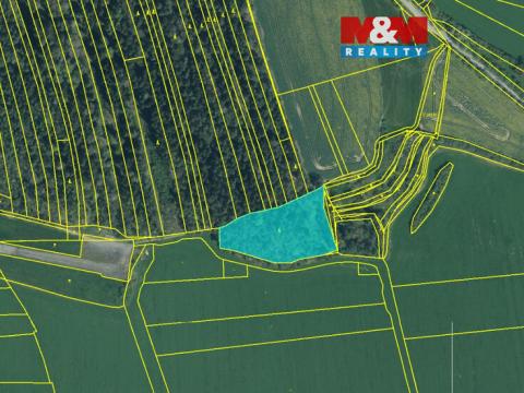 Prodej lesa, Koloveč, 13001 m2