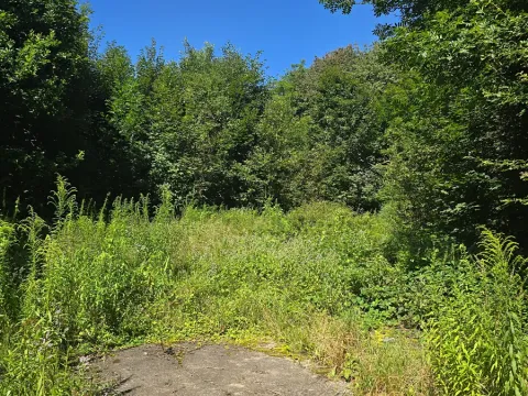 Prodej komerčního pozemku, Hodkovice nad Mohelkou, 6702 m2