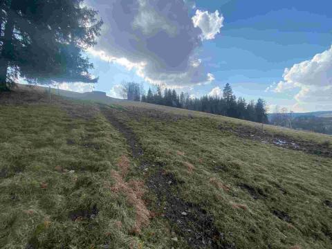 Prodej pole, Bartošovice v Orlických horách, 930 m2