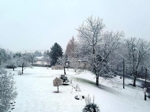 Prodej pozemku pro bydlení, Jeseník nad Odrou, 700 m2