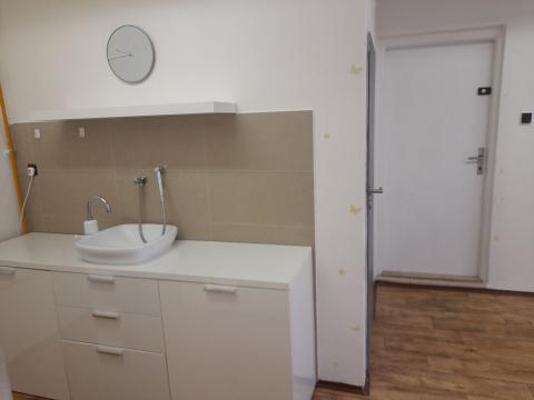 Pronájem bytu 1+1, Olomouc, Smetanova, 45 m2