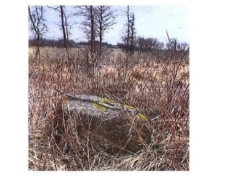 Prodej lesa, Přeckov, 87000 m2