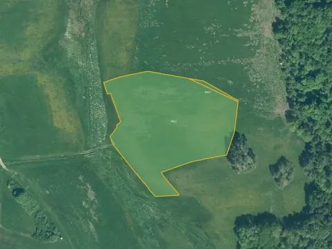 Prodej louky, Cerhonice, 23064 m2