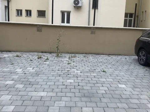 Pronájem ostatní, Olomouc, Vídeňská