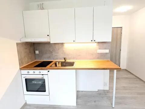 Pronájem bytu 1+kk, Kraslice, B. Smetany, 22 m2