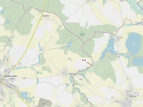 Dražba lesa, Trhové Sviny, 590 m2