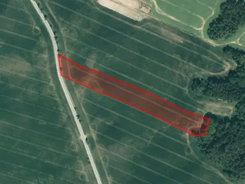 Prodej pole, Mladotice, 10291 m2