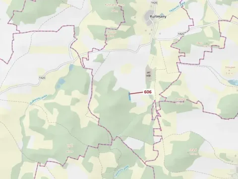 Dražba lesa, Kuřimany, 2526 m2