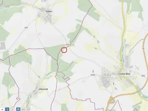 Prodej lesa, Česká Bělá, 8665 m2