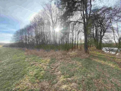 Prodej pozemku, Trstěnice, 1109 m2