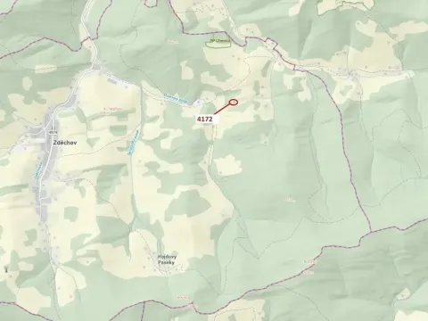 Dražba lesa, Zděchov, 216 m2