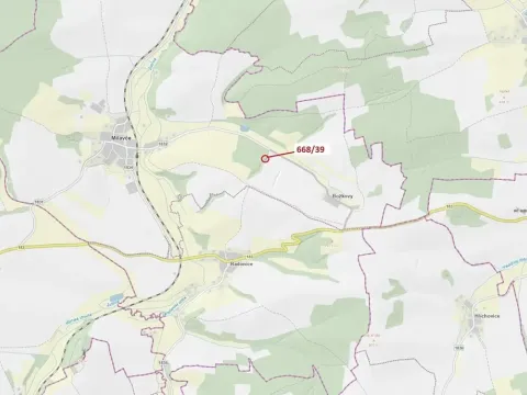 Dražba lesa, Milavče, 222 m2