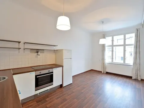 Pronájem bytu 2+kk, Praha - Vinohrady, Lucemburská, 50 m2