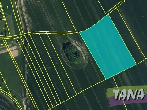 Prodej pole, Karlovice, 10104 m2