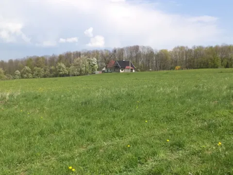 Prodej pozemku, Chotěbuz, 6967 m2