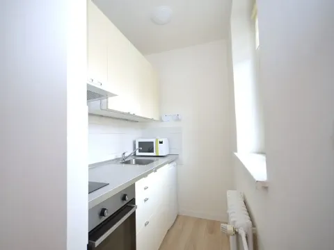 Pronájem bytu 1+kk, Frýdek-Místek, Bruzovská, 30 m2