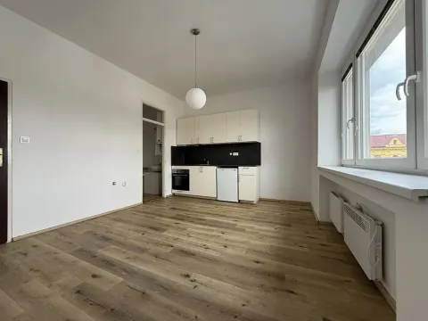 Pronájem bytu 1+kk, Brno, Staňkova, 25 m2