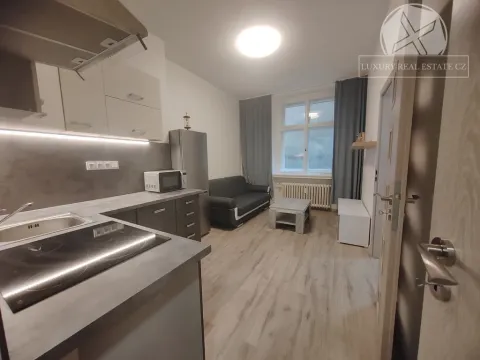 Pronájem bytu 2+kk, Praha - Nové Město, Školská, 27 m2
