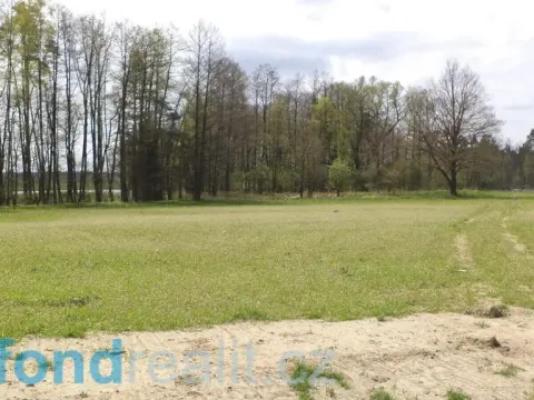 Prodej pozemku, Stráž nad Nežárkou, 6528 m2