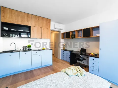 Pronájem bytu 1+kk, Olomouc, Edmunda Husserla, 29 m2