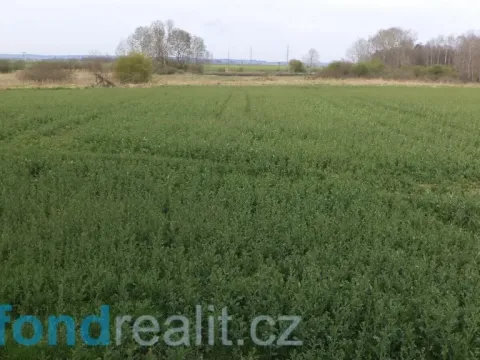 Prodej pole, Žíšov, 3467 m2