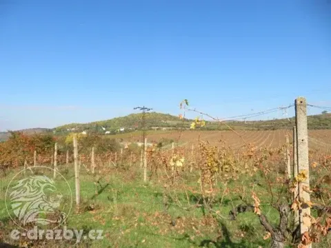 Dražba sadu/vinice, Velké Žernoseky, 2775 m2