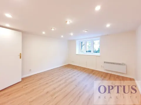 Pronájem bytu 1+kk, Praha - Podolí, Levá, 25 m2