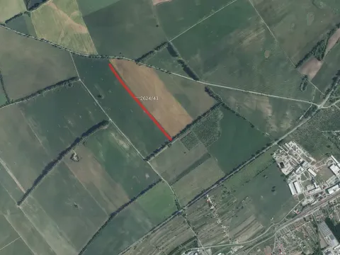 Prodej podílu pole, Mikulčice, 8312 m2