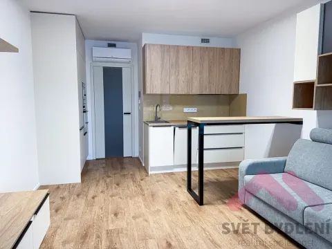 Pronájem bytu 1+kk, Praha - Žižkov, Šrámkové, 33 m2